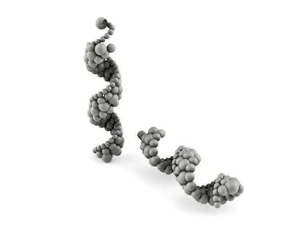 DNA, in acciaio inox 316L, stampa diretta 3D